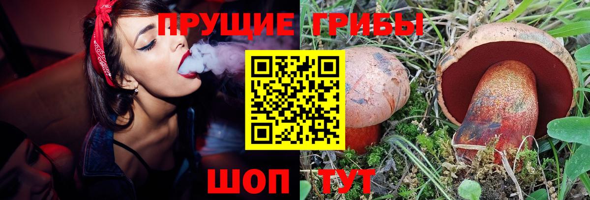 Галлюциногенные грибы MAGIC MUSHROOMS  Галлюциногенные грибы мухоморы  Старая Купавна  Вход с VPN 
